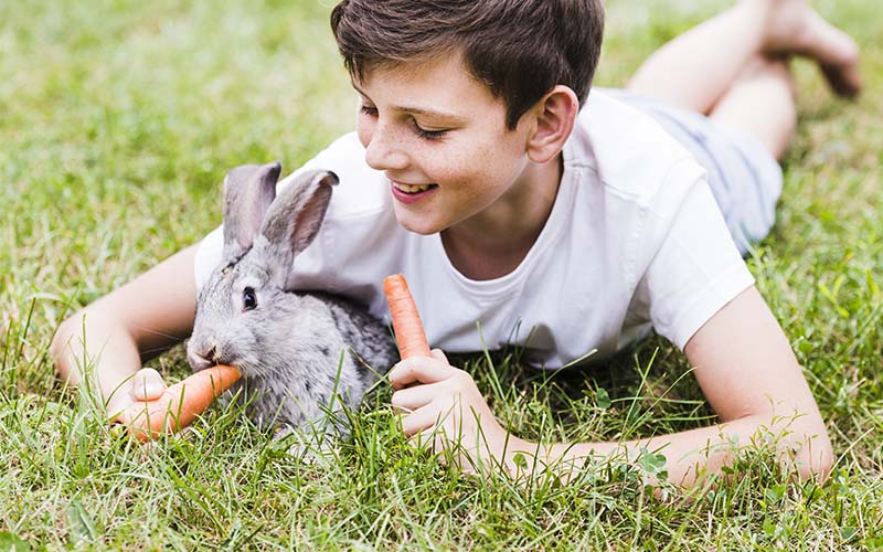 Tudja, hogyan kell a nyulakat megfelelően táplálni?