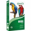 Vitaminok papagájoknak | Jandeb