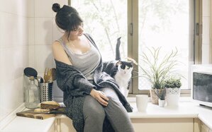 Melyik macska alkalmas a lakásbo? Segítünk a kiválasztásában