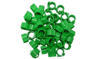 Jelölőgyűrű galamb műanyag 8mm zöld