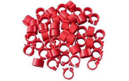 Jelölőgyűrű galamb műanyag 8mm piros