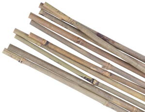 Tyc Garden KBT 0900/08-10 mm, 10 ks, bambus
