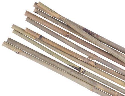 Tyc Garden KBT 1500/16-18 mm, 10 ks, bambus