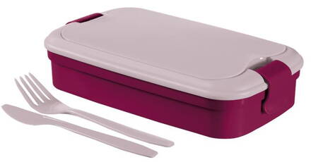 Box Curver® Lunch&Go 1.3L, fialový